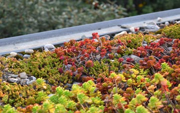 the cost of Chudleigh Knighton green roof installation