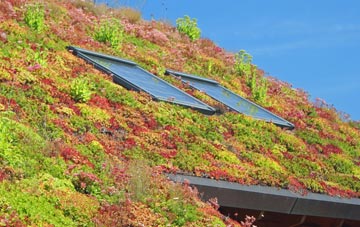 Chudleigh Knighton living roof systems